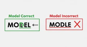 modle vs model