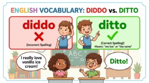 diddo or ditto