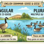 geese or goose