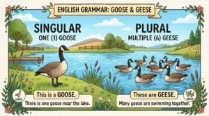 geese or goose