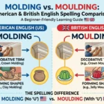 molding or moulding