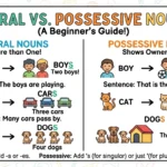 plural or possessive
