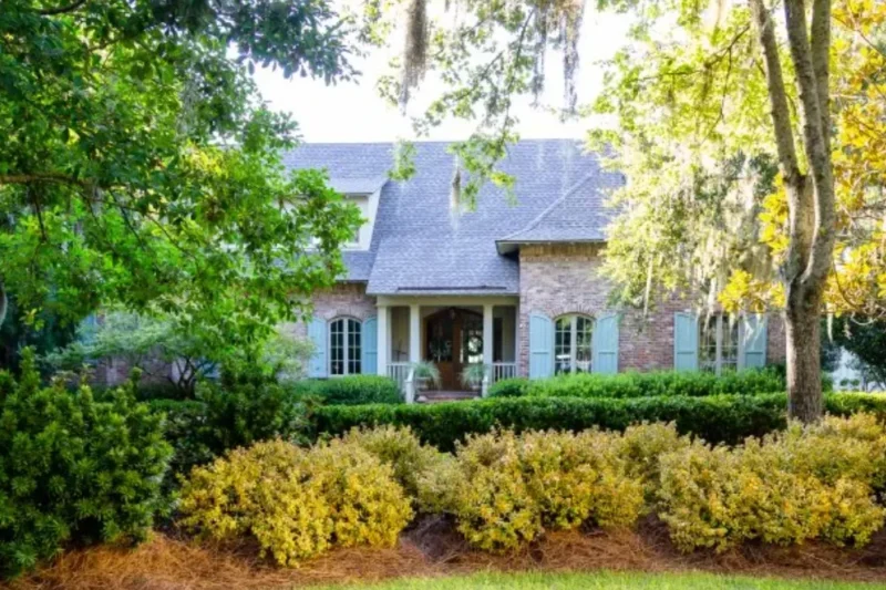 Best Plants for Easy and Affordable Landscaping