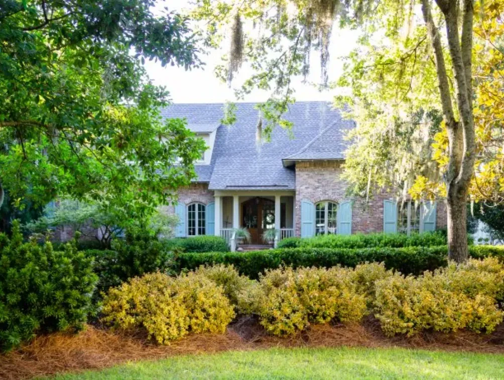 Best Plants for Easy and Affordable Landscaping