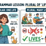lives or lifes