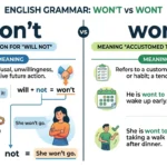 wont or won't