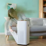 How to Reduce Dust and Allergens in Your Home